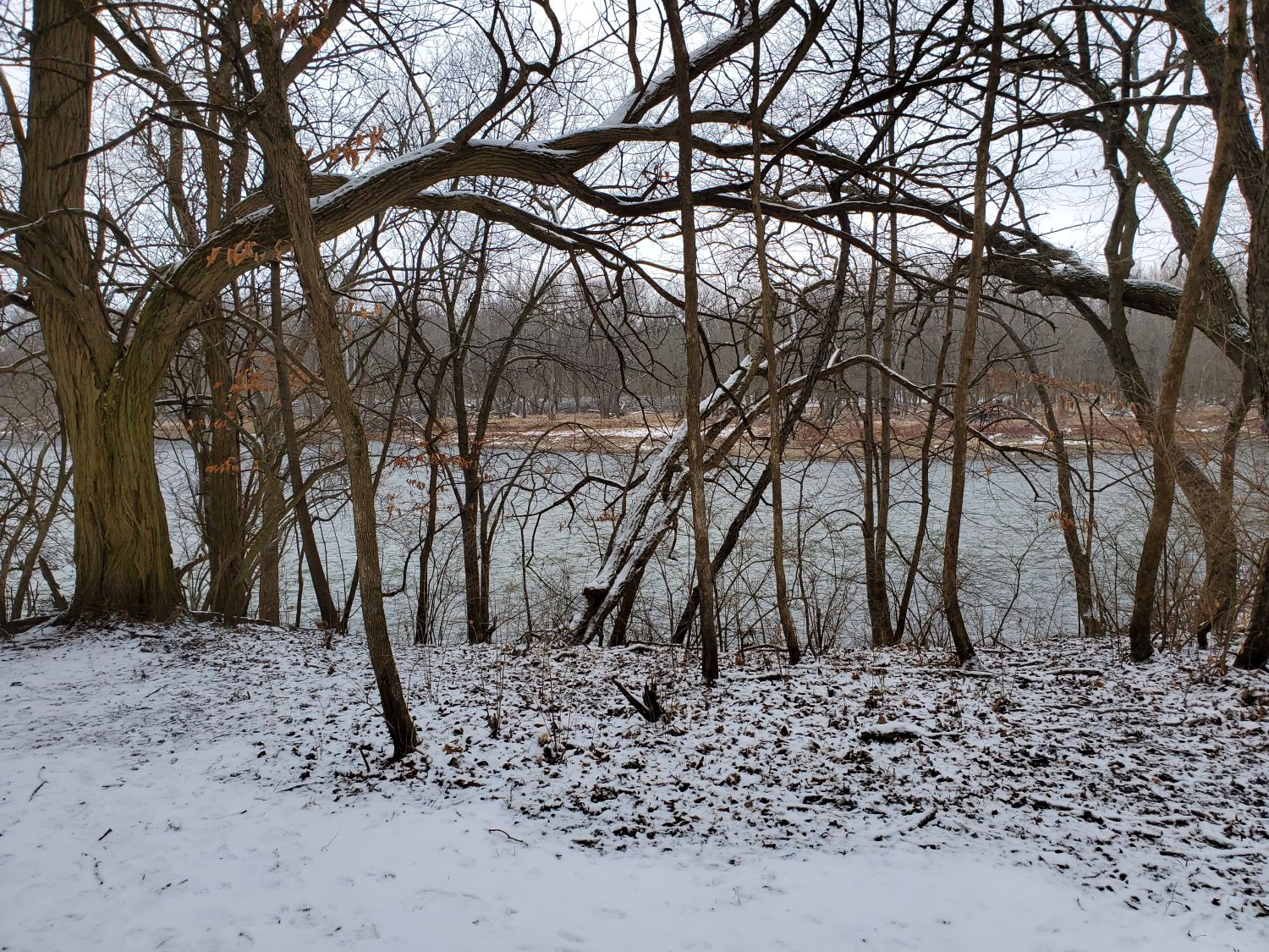 Kankakee River State Park 